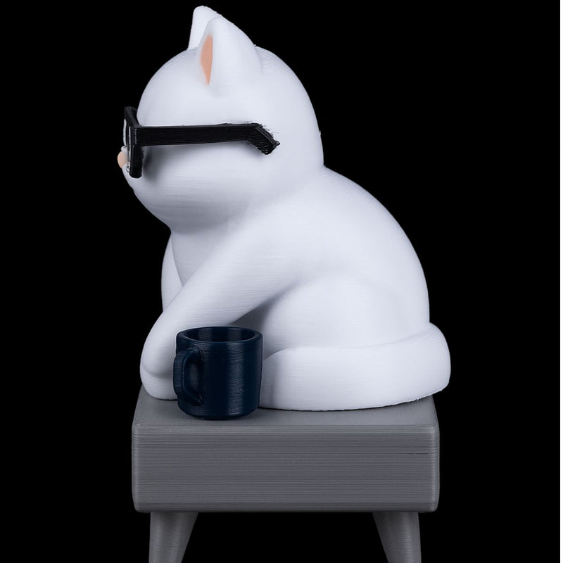 Decoração Gato Descolado 3D para Quem Ama Gatos!