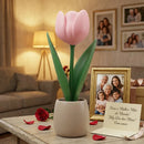 Tulipa Artificial Rosa Em Vaso 3d Decorativo Rosa