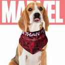 Bandana Para Cachorro Marvel Presente Criativo Pet Geek